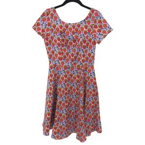 Eva Rose Strawberry Dress Womens Medium Pink Fruit Blueberry A-Line Rockibily